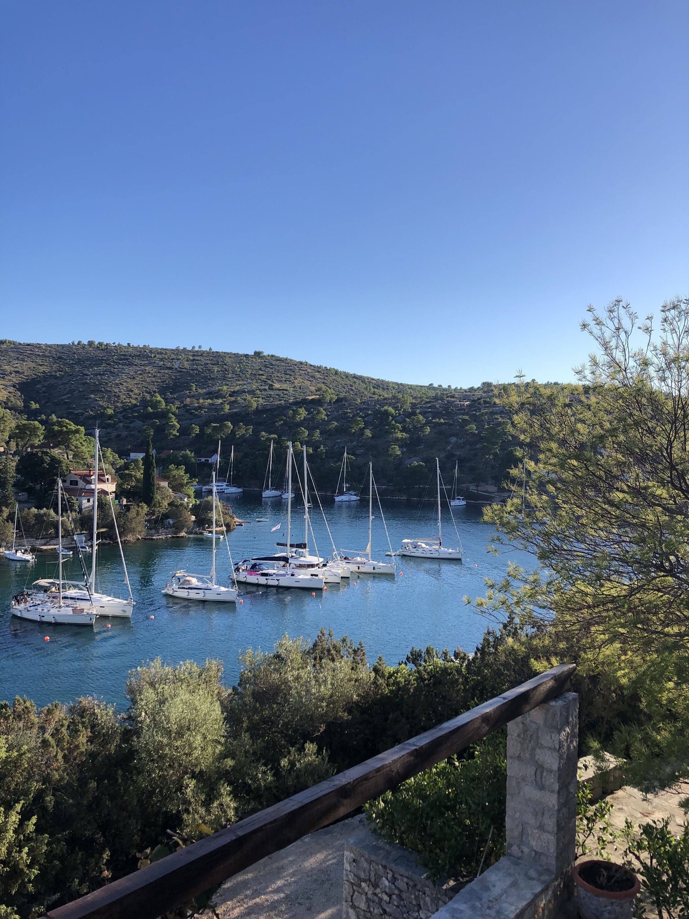 A marina with several sailboats docked, surrounded by lush greenery and hills in the background.