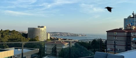 Chambre présidentielle, vue sur la mer | Aire de séjour | Téléviseur ACL de 32 po avec télévision par satellite