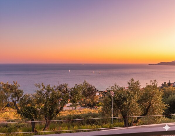 Basic-Apartment | Terrasse/Patio