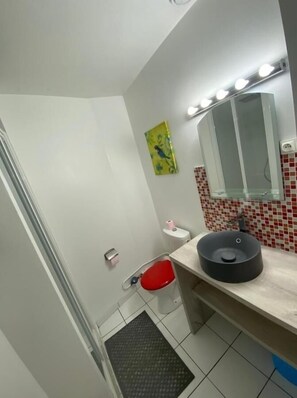 Hair dryer, towels, toilet paper