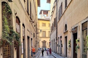 A narrow street with buildings on either side, some with plants.