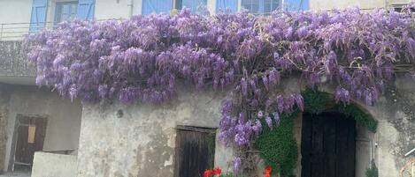 Details aan de buitenkant