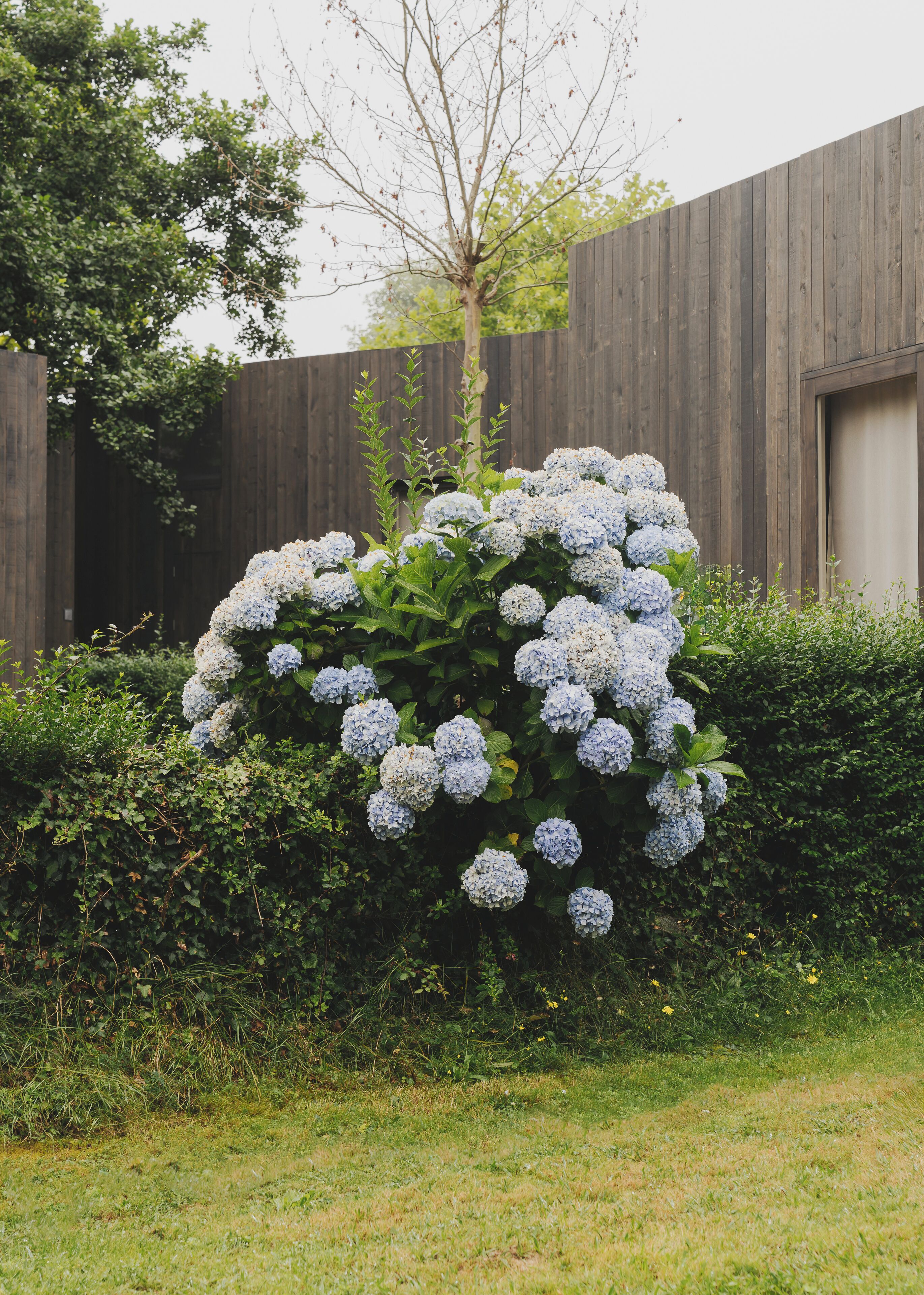 Khuôn viên nơi lưu trú