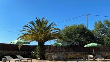 Seasonal outdoor pool, pool umbrellas, sun loungers