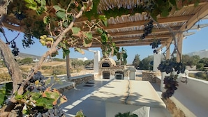 Ein überdachter Außenbereich mit Kamin aus Stein, einer mit Weinreben bewachsenen Pergola und Blick auf die umliegende Landschaft.