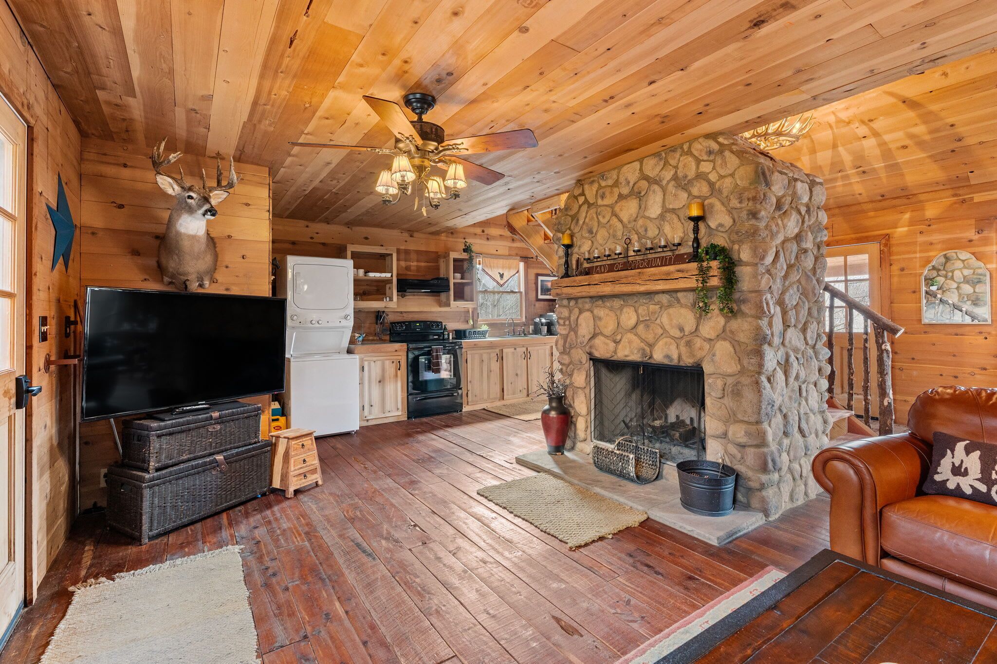 Smart TV, fireplace, DVD player, video library