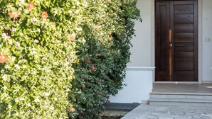 Una casa con puerta de madera oscura, pared exterior blanca y un seto bien cuidado con hojas verdes y flores rojas.