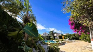 Ein Poolbereich mit Steinboden, umgeben von üppiger Vegetation und blühenden Pflanzen.