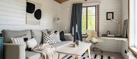 Een smart-tv, een open haard, boeken en een stereo