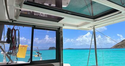 Your half-day cruise with scenic Zephyr and water activities