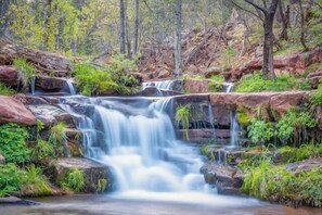 Uklassifisert bilde, 5 av 84, knapp