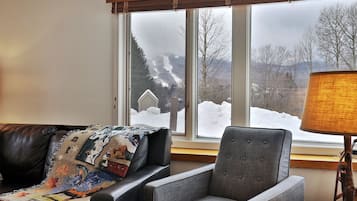 TV, fireplace, DVD player