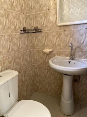 Hair dryer, towels, toilet paper