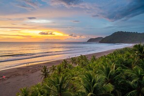 Une plage bordée de palmiers, une étendue de sable et un coucher de soleil.