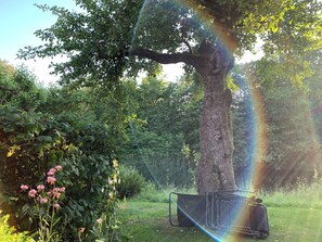 Mökki, 2 yhden hengen sänkyä, kylpyhuone makuuhuoneen yhteydessä, puutarha-alue | Terassi/patio