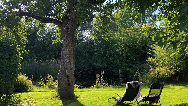 A garden with a large tree and two chairs. - Villa Maria Garden Cottages (Morarp)