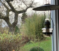 Cabin, 2 Bedrooms, Ensuite, Garden Area | Individually decorated, individually furnished, laptop workspace