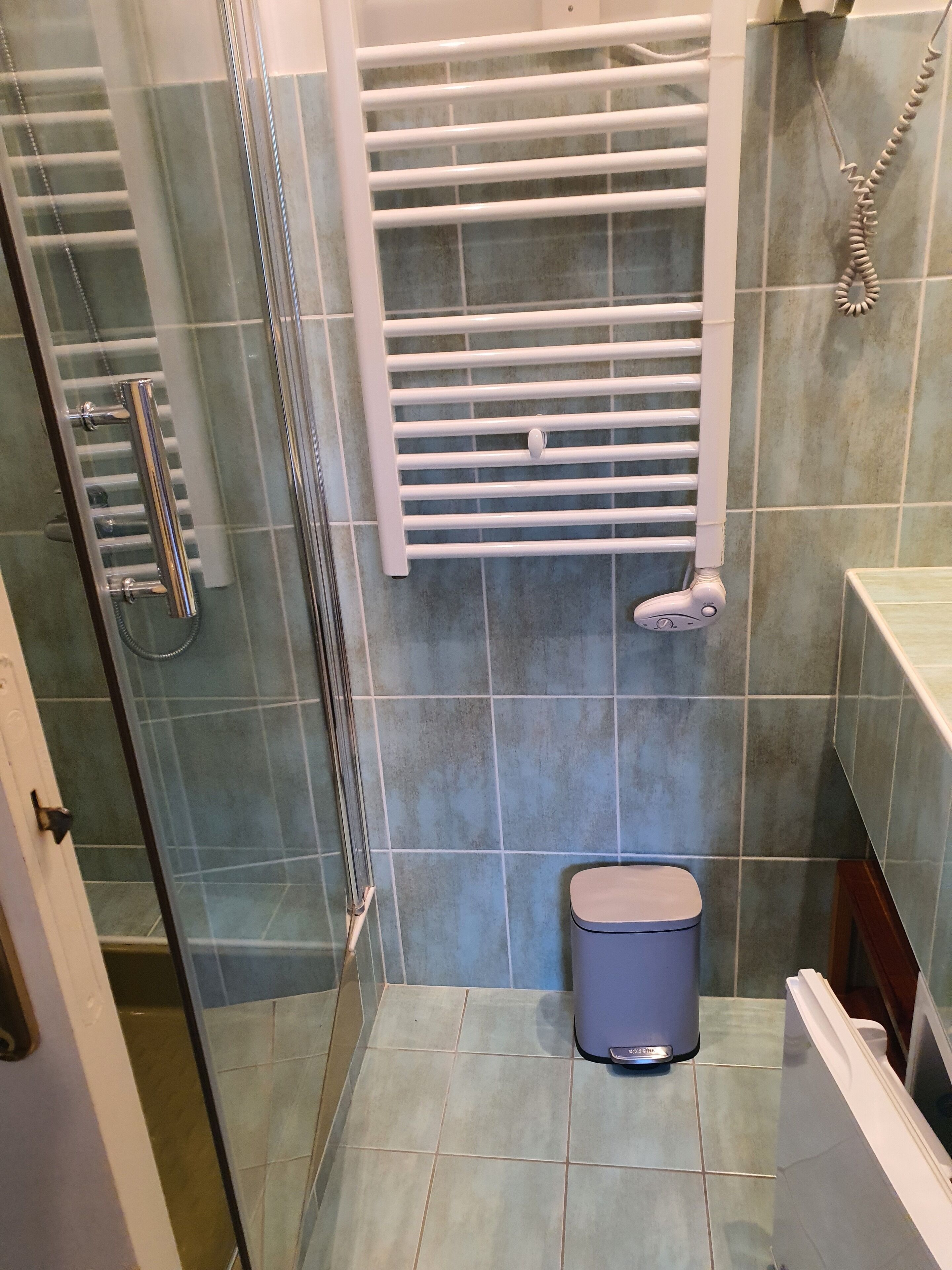 Een kleine badkamer met een douchecabine van glas, een witte handdoekhouder, een toilet en een prullenbak.
