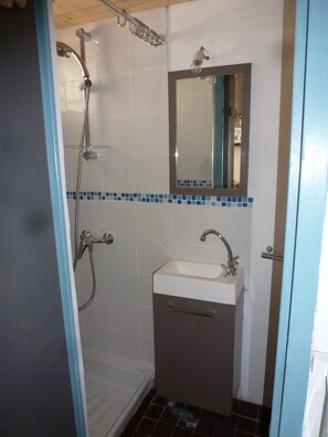 Shower, hair dryer, toilet paper