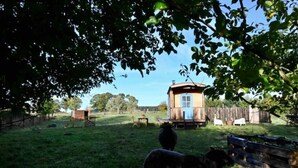 A rustic wooden cabin with a blue door, surrounded by a fenced yard with a dog and a tractor.