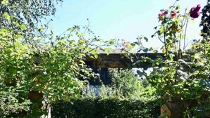 A garden with a metal gate, lush greenery, and a stone wall in the background. - Mecklenbü mit Teich, Kamin, Sauna und Hotpott (Dargun)