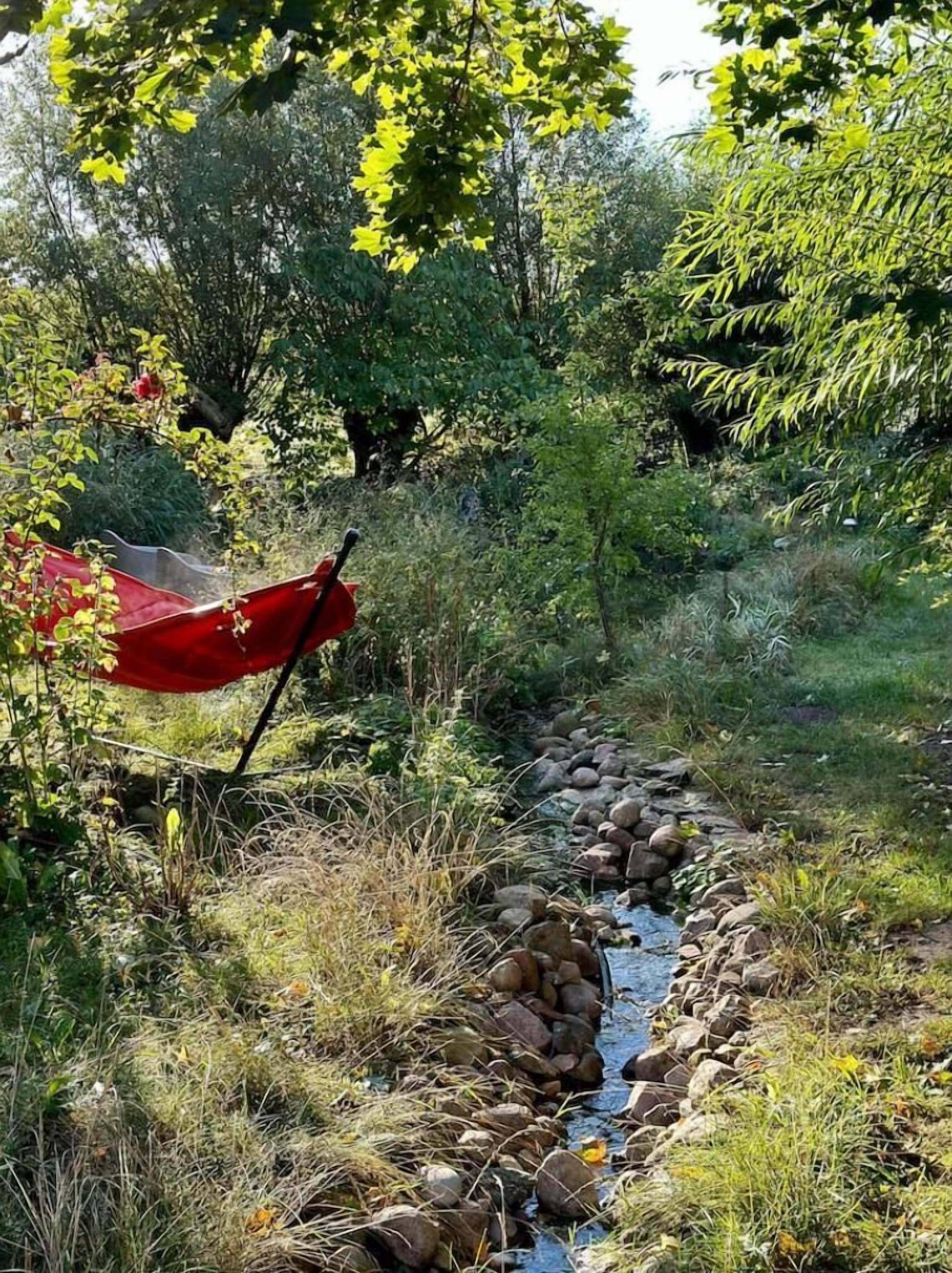 Entorn natural a l'aire lliure amb un rierol, pedres i vegetació.