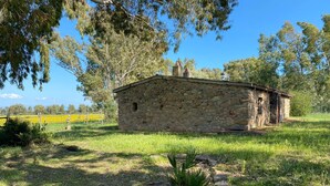 Property grounds - Delightful  house typical of the Sardinian countryside in the Monte Arcosu Park. (Località Macchiareddu-Grogastu I)