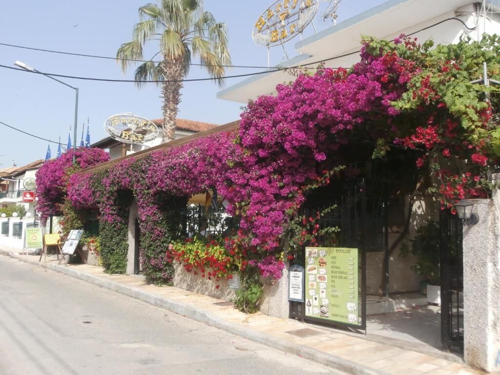 Un edificio con restaurante en la planta baja, adornado con coloridas flores de buganvilla y un cartel de menú visible.