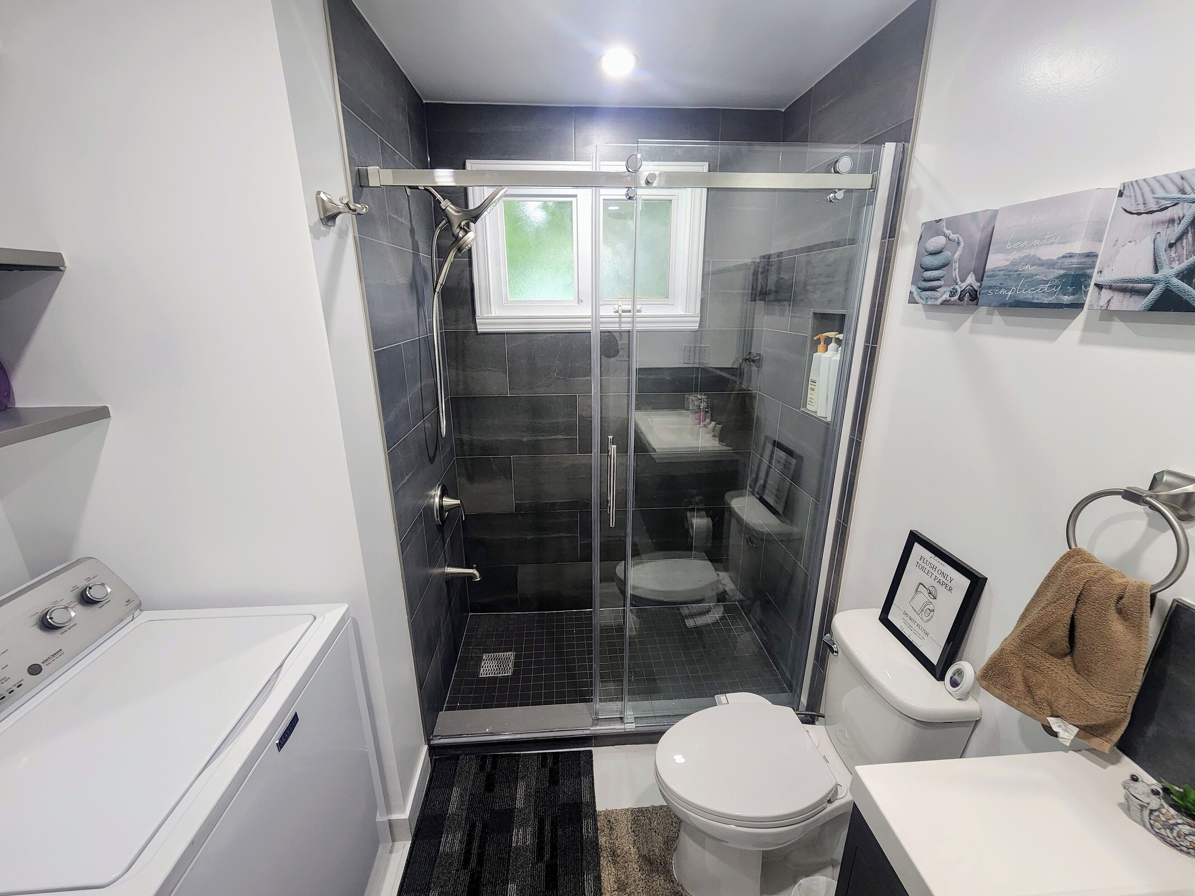 Shower, hair dryer, bidet, towels