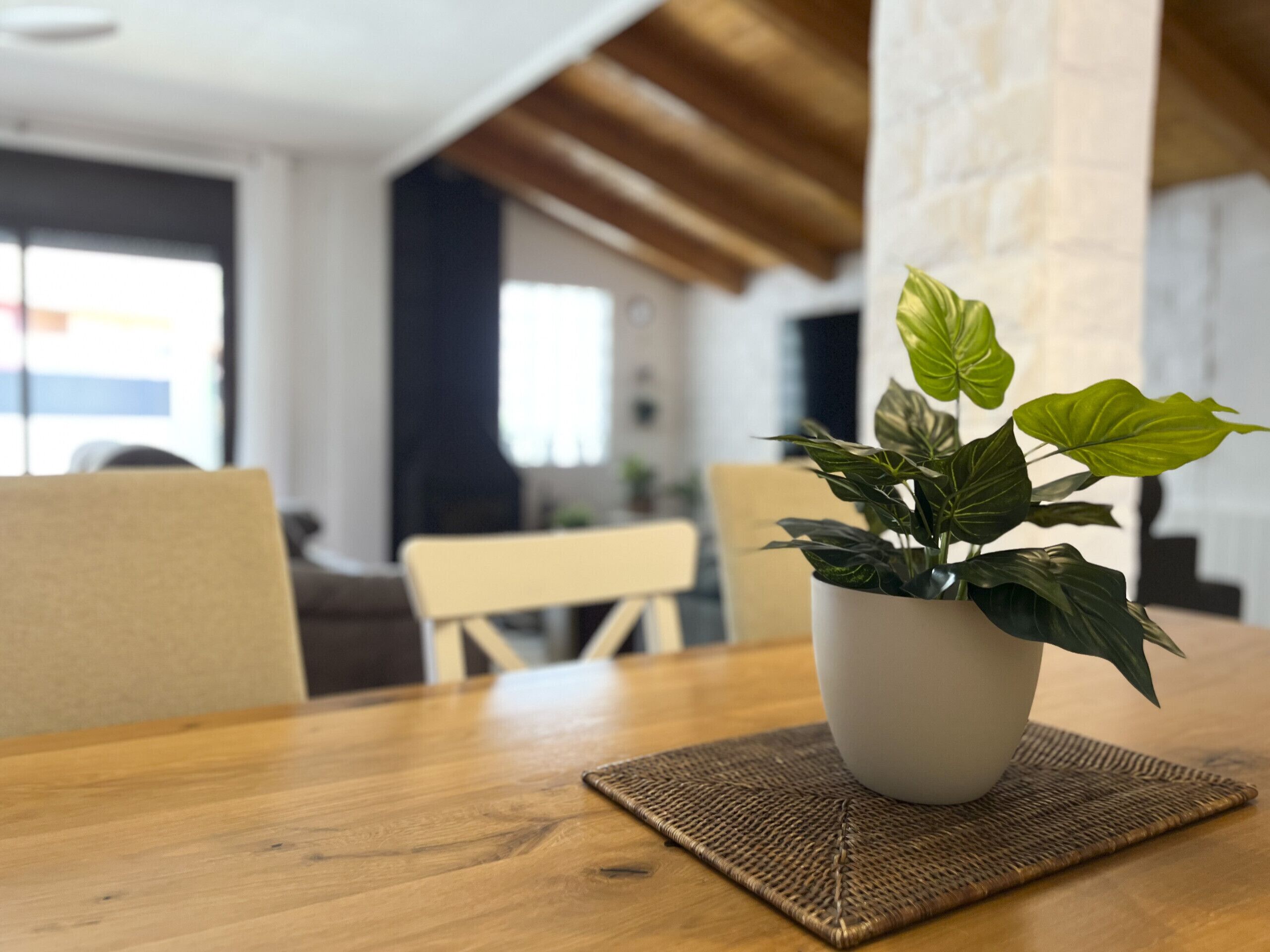 A dining table with a potted plant, a woven placemat, and a chair.