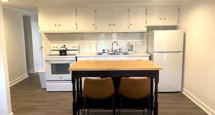 Bright open studio apartment with king bed and queen sofabed. Walk to local shops and restaurants.