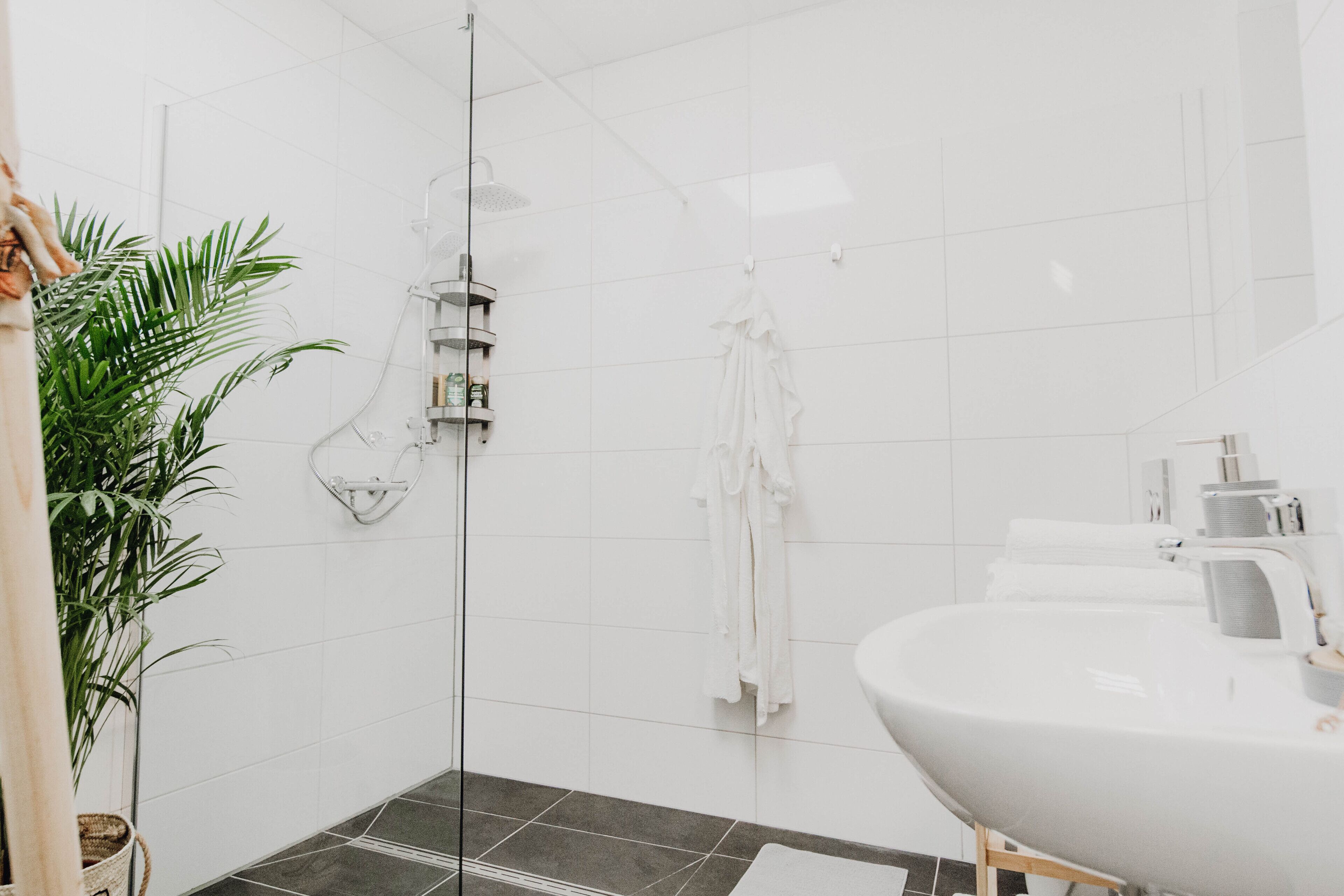 Chuveiro, produtos de toalete grátis, secador de cabelo, bidê