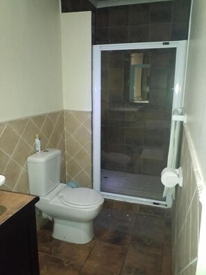 Deluxe Double Room | Bathroom | Free toiletries, hair dryer, towels, soap - Nqabanqaba B&B  (Richards Bay)