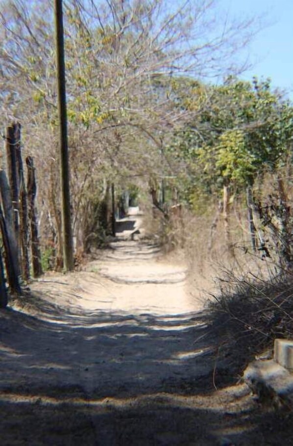 A dirt path flanked by trees and wooden posts, leading into a forested area.