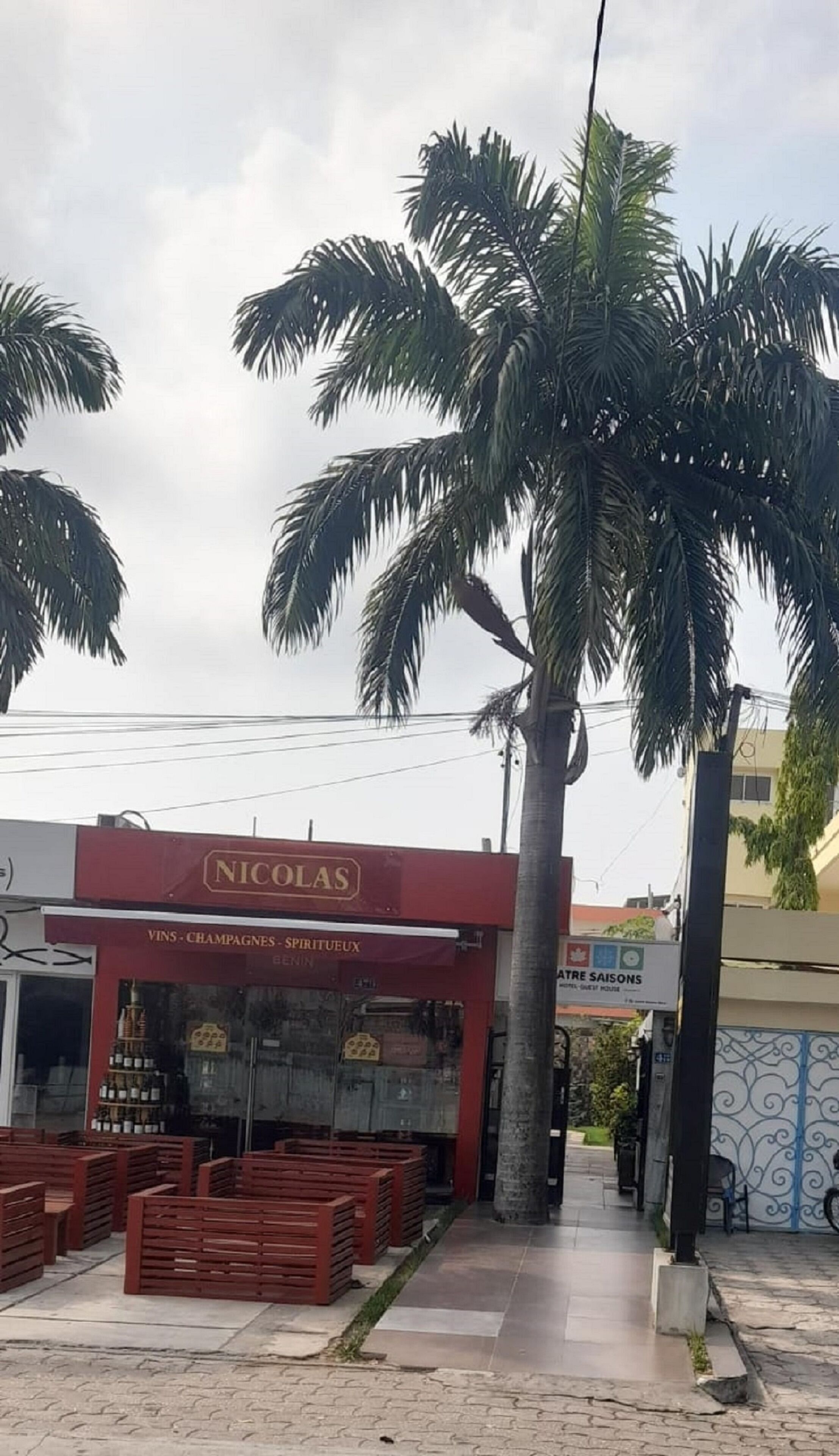 A storefront with a sign reading "NICOLAS" and a display of wine bottles.