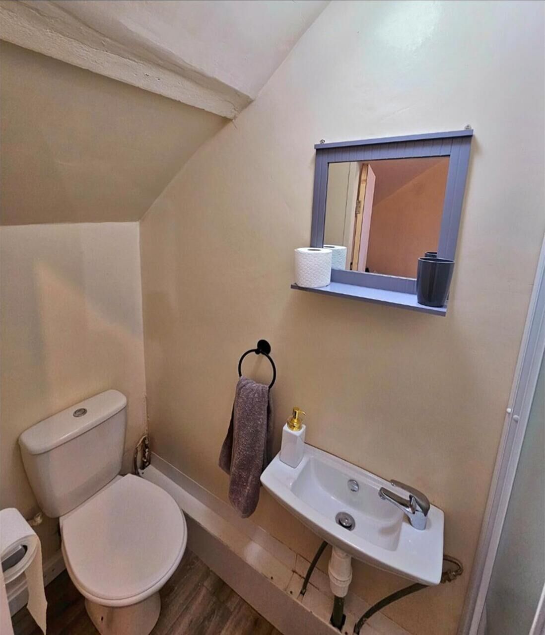 A bathroom with a toilet, sink, and a towel rack.