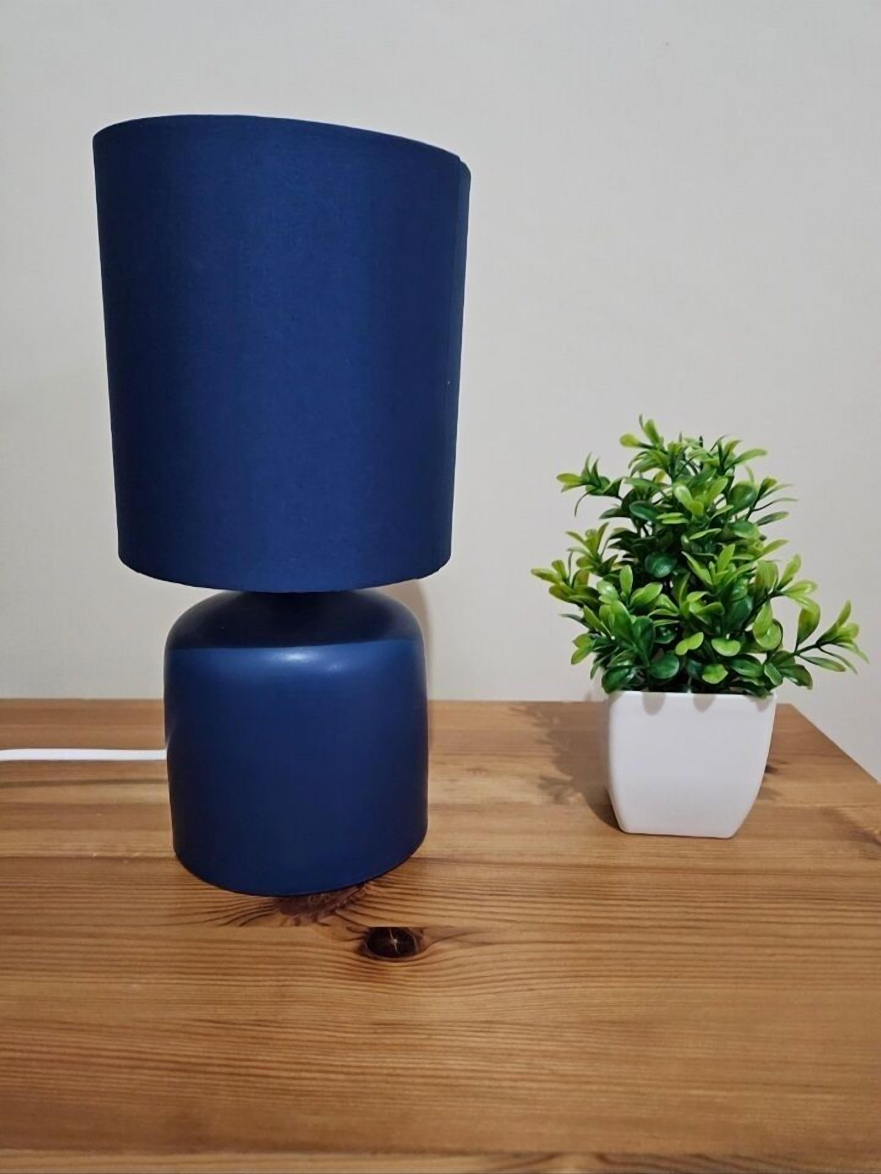 A blue lamp with a cylindrical base and a white pot with green foliage on a wooden surface.