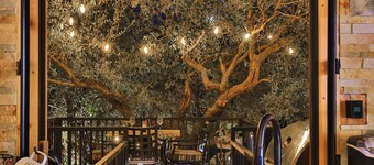 "The Magical Treehouse" offers an enchanting experience for up to six guests.