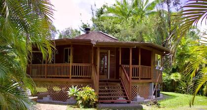Rain Forest Paradise Ideally located betwn Hilo & Volcano National Pk 2BD/2BA