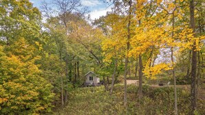 A cabin surrounded by dense forest with autumn foliage. - Room on the Ridge / HOT TUB / Sleeps 2 (Wheatland)