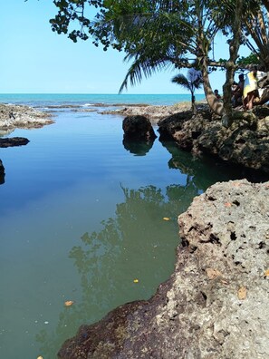 A rocky shoreline with clear water, palm trees, and a calm sea. - Hotel Green Mountain Cahuita  (Cahuita)