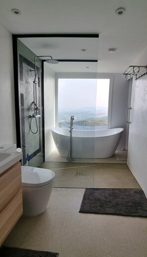 Shower, hair dryer, bidet, towels