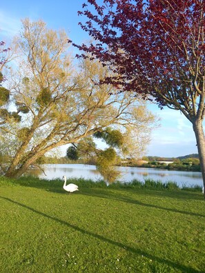 Miscellaneous - Les reflets de la bresle (Bouvaincourt-sur-Bresle)