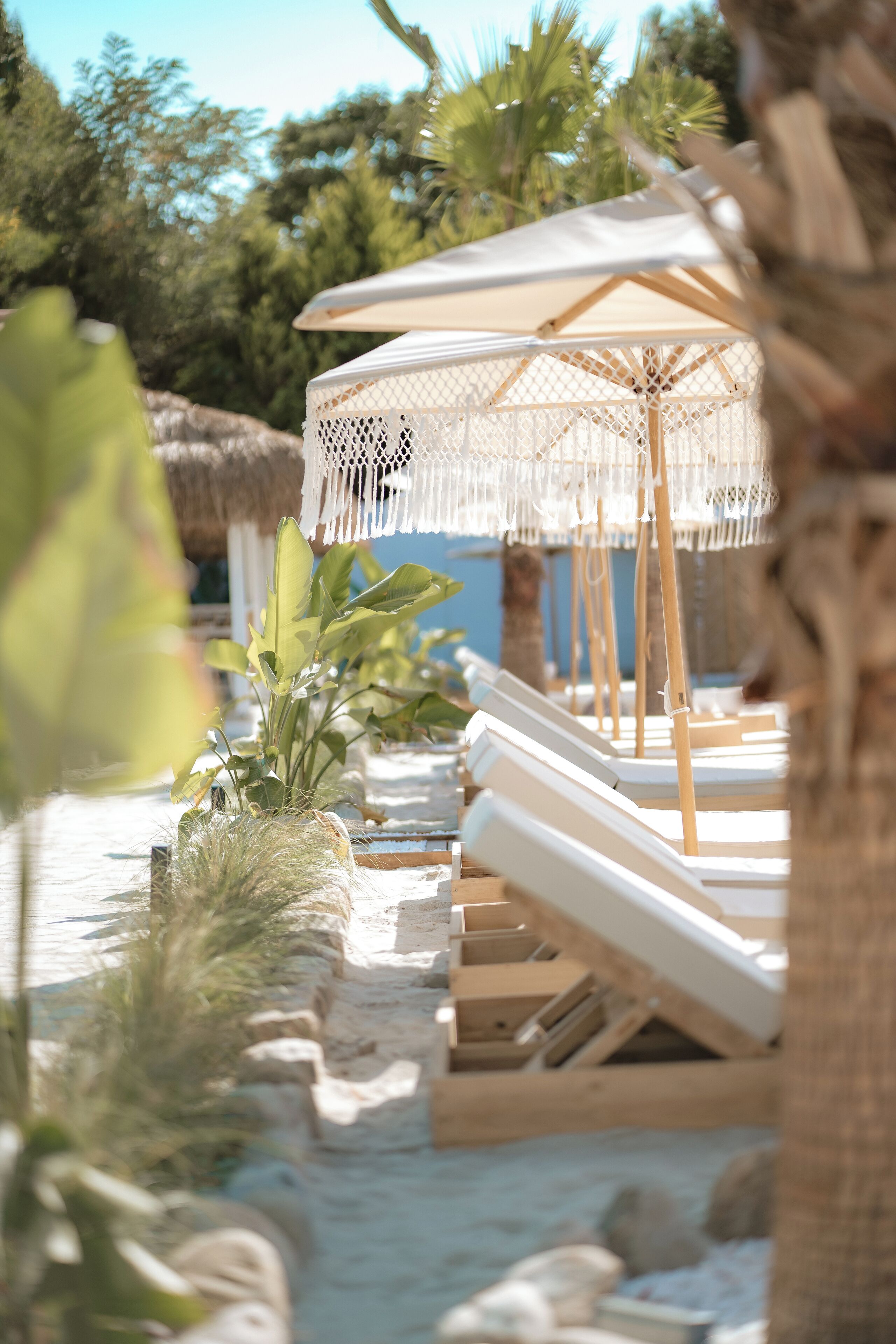 En privat strand, hvidt sand, gratis strandtransport