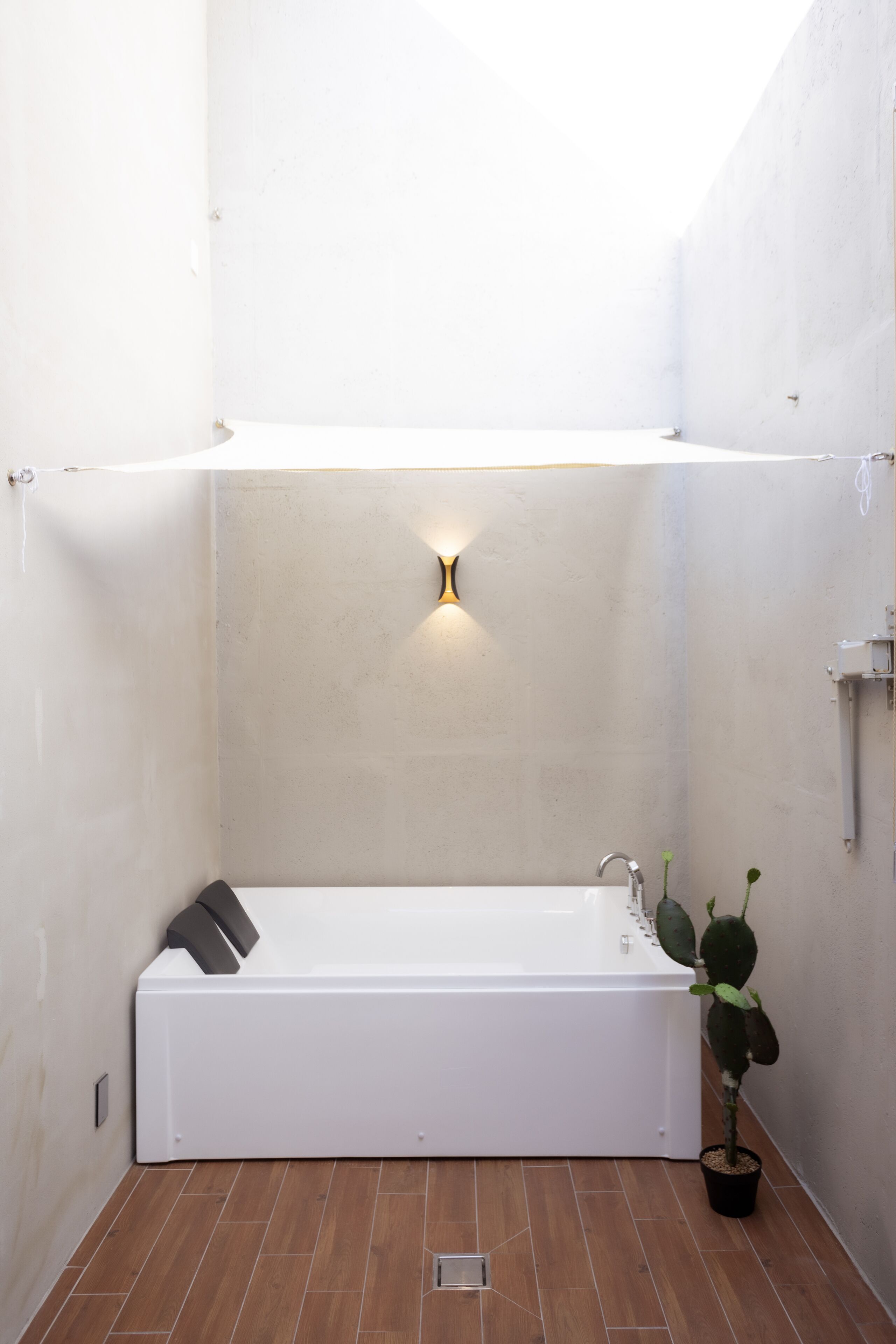 A modern bathroom with a white bathtub, a wall-mounted light fixture, and a potted plant.