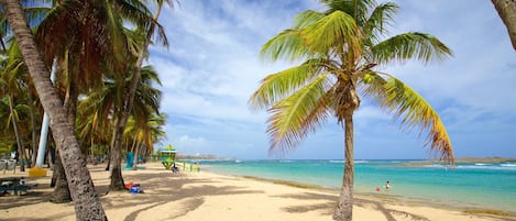 Chaise longue, serviettes de plage