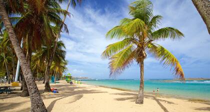 2 Bedroom APT w/ Ocean & Condado Lagoon views, restaurants, walk to the beach...