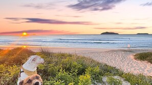 Beach - Mariners Mark 4 - Your Ultimate Getaway in Hawks Nest (Hawks Nest)