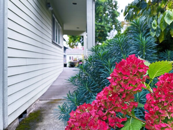 Détail de l’extérieur