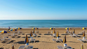 Una playa con filas de tumbonas y sombrillas.